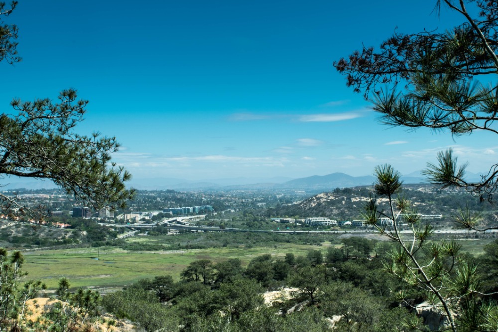 Carmel Valley